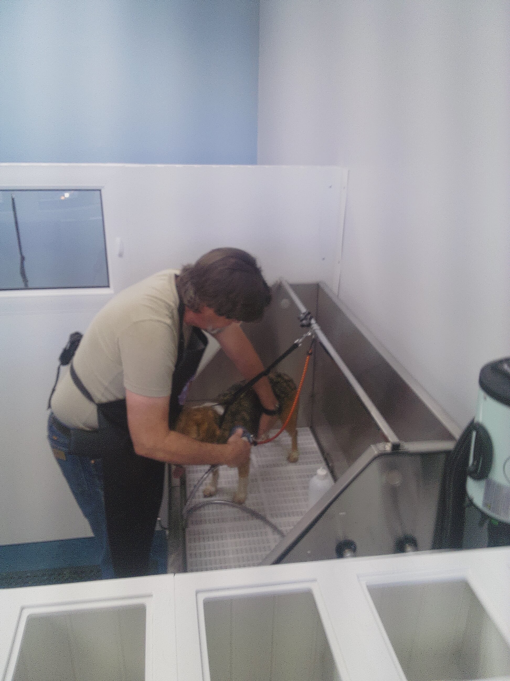 Professional grooming table and blowers at Nature's Design Dog Spa self-serve dog wash in Boise