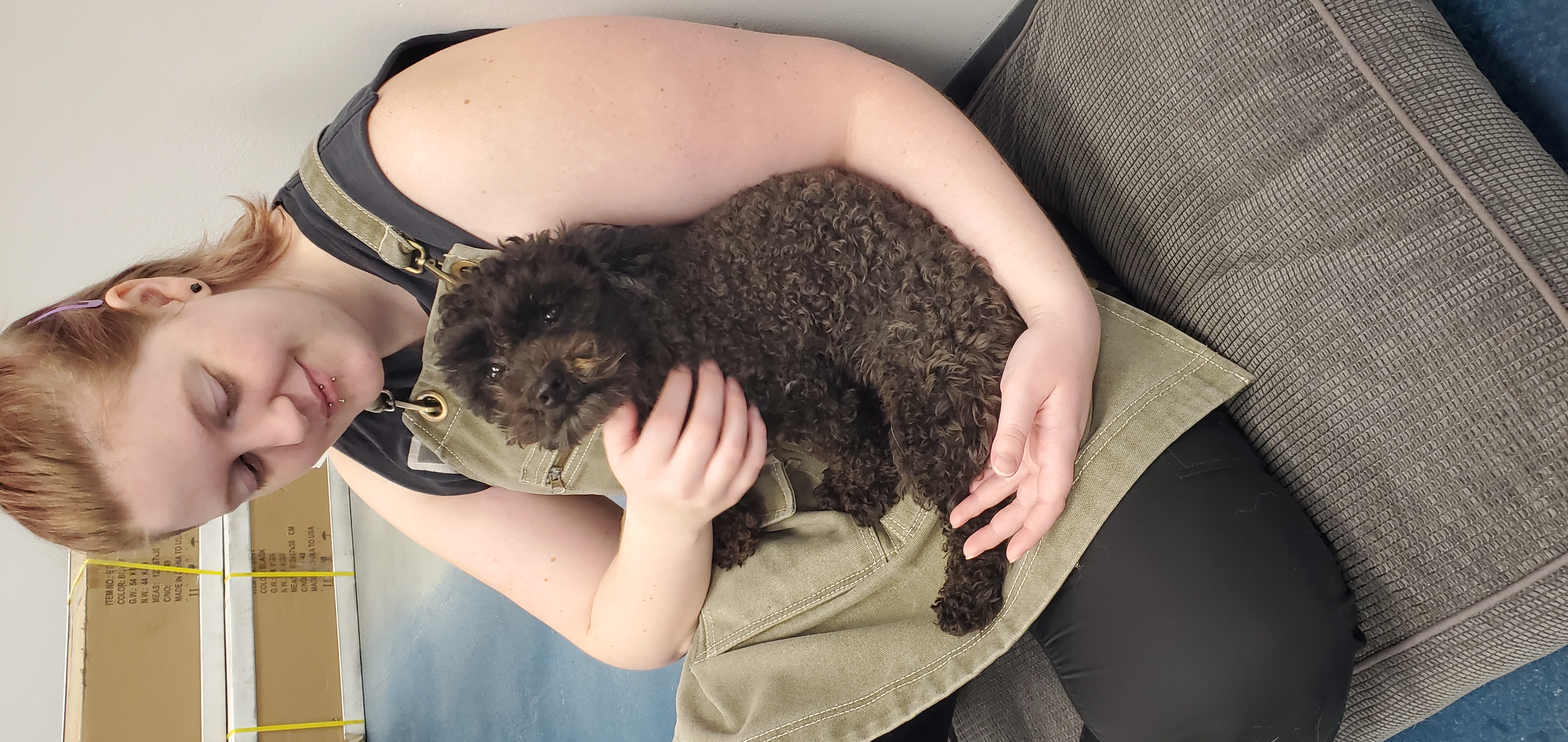 Groomer gently cuddling a small, anxious dog on the floor, demonstrating low-stress, specialized grooming in Boise.
